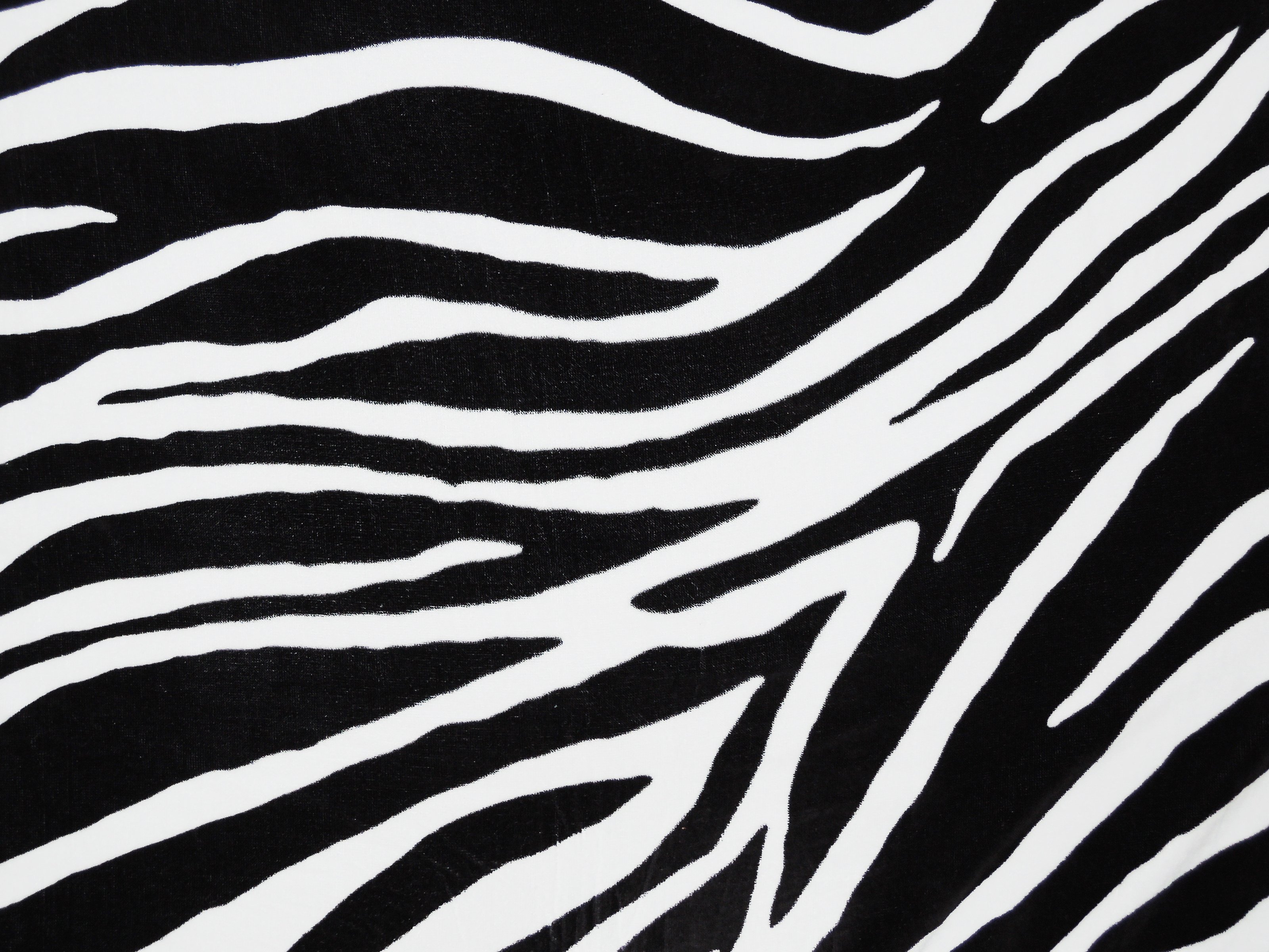 Zebra textile